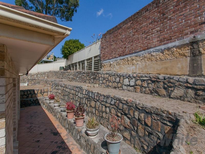 54 Birchgrove Drive, Wallsend NSW 2287