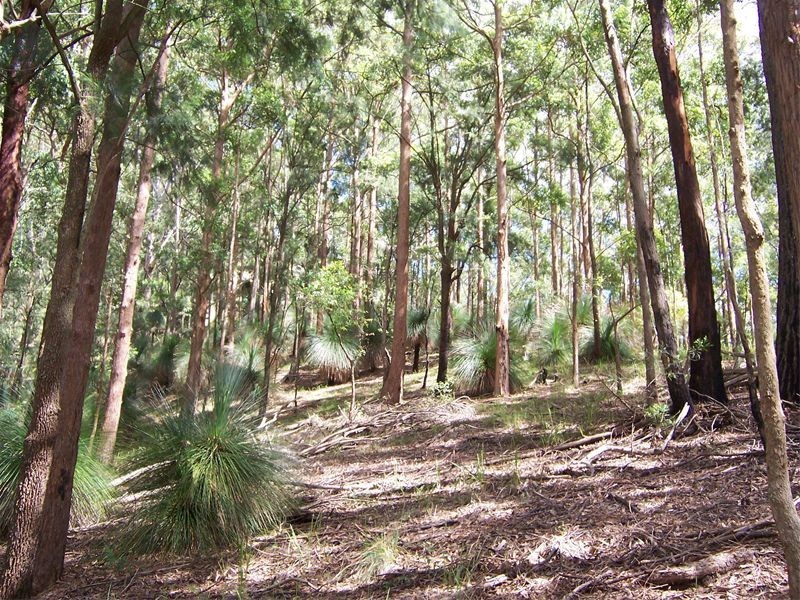 Martinsville NSW 2265