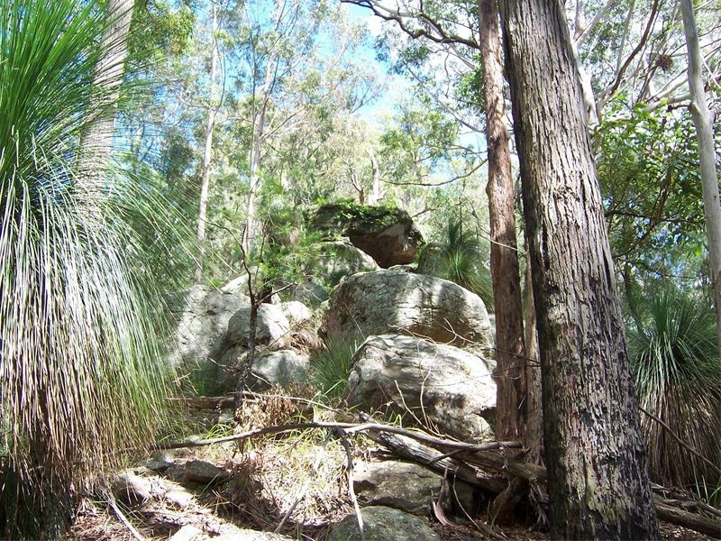 Martinsville NSW 2265