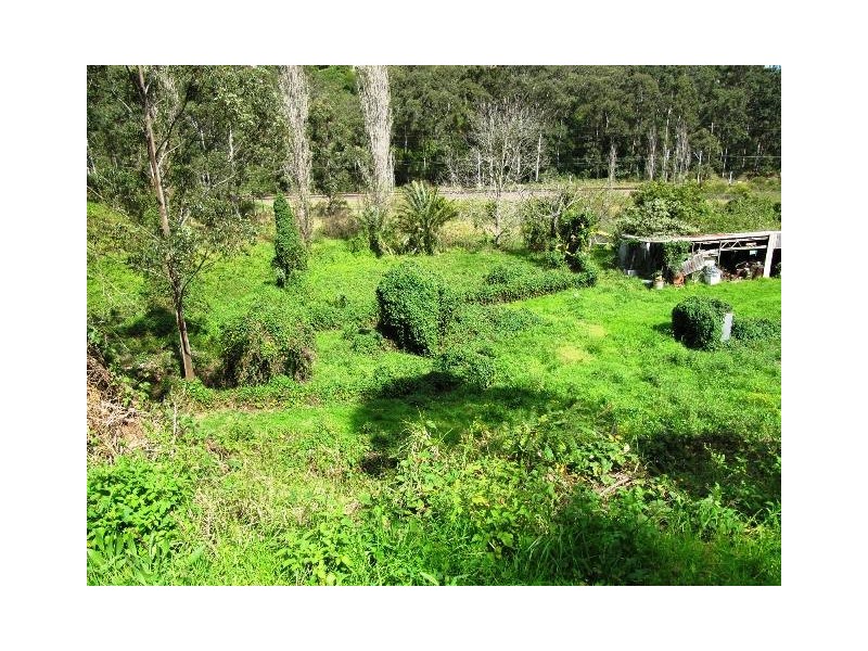 80 Marshall Street, Garden Suburb NSW 2289