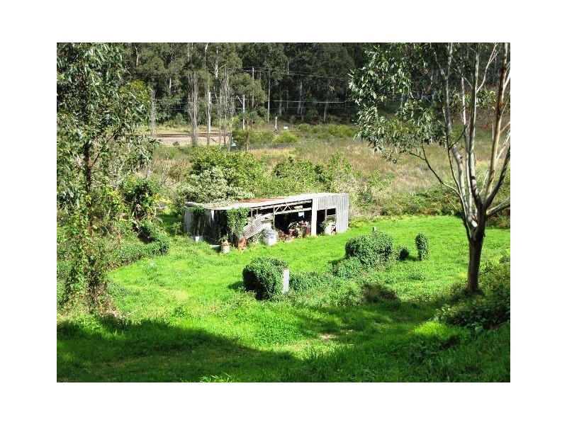 80 Marshall Street, Garden Suburb NSW 2289