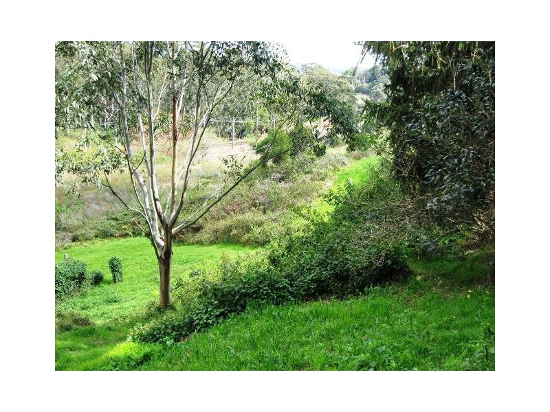 80 Marshall Street, Garden Suburb NSW 2289