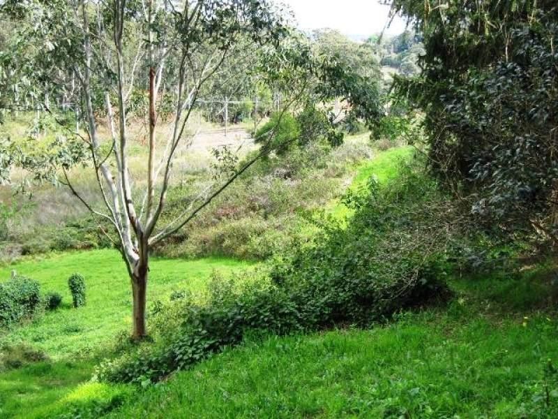 80 Marshall Street, Garden Suburb NSW 2289