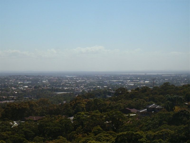 708/316 Charlestown Road, Charlestown NSW 2290