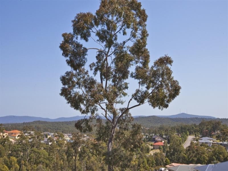 4 Guildford Grove, Cameron Park NSW 2285