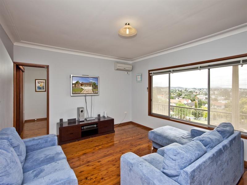 19 Seladon Avenue, Wallsend NSW 2287