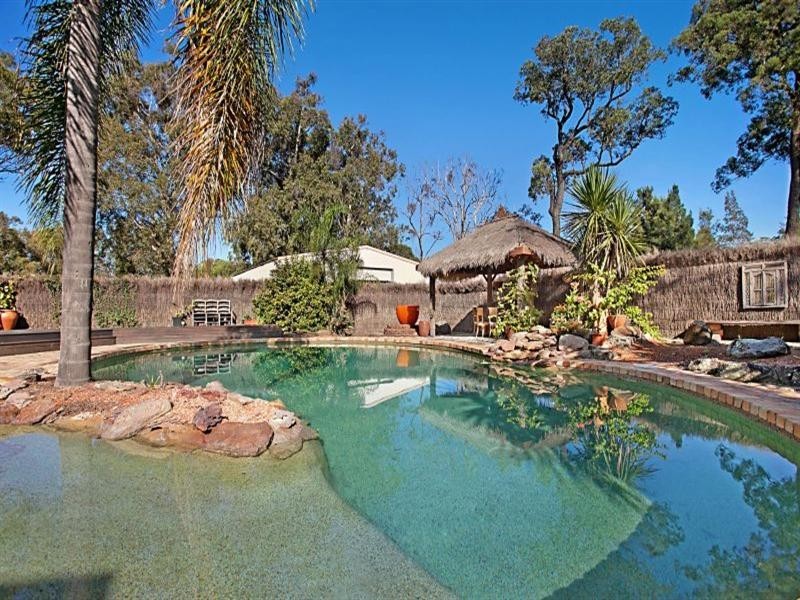 20 Phoenix Road, Black Hill NSW 2322