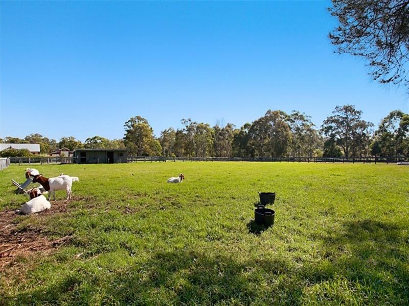 8 Forsythe Parade, Black Hill NSW 2322