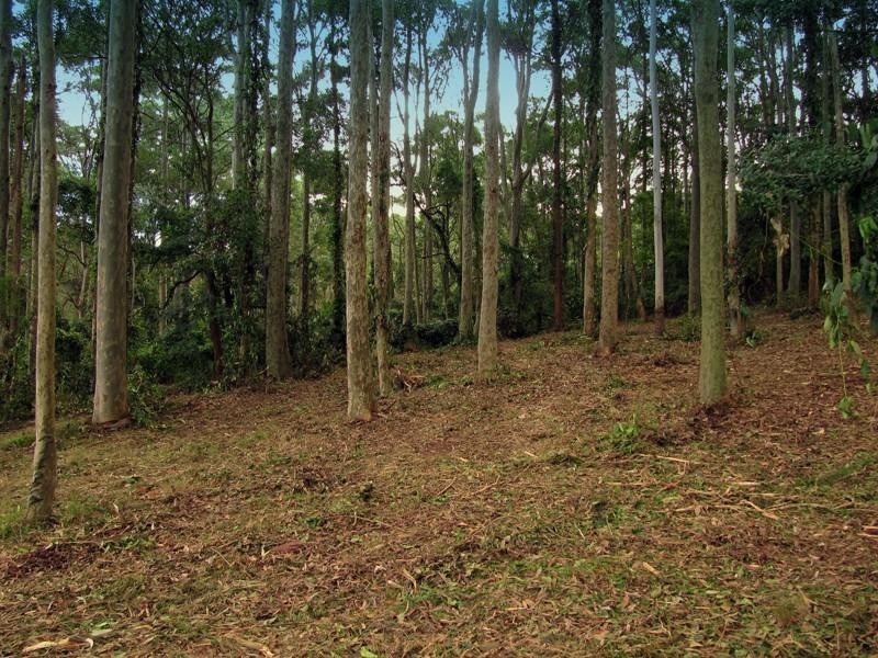 15 Green Valley Road, Charlestown NSW 2290