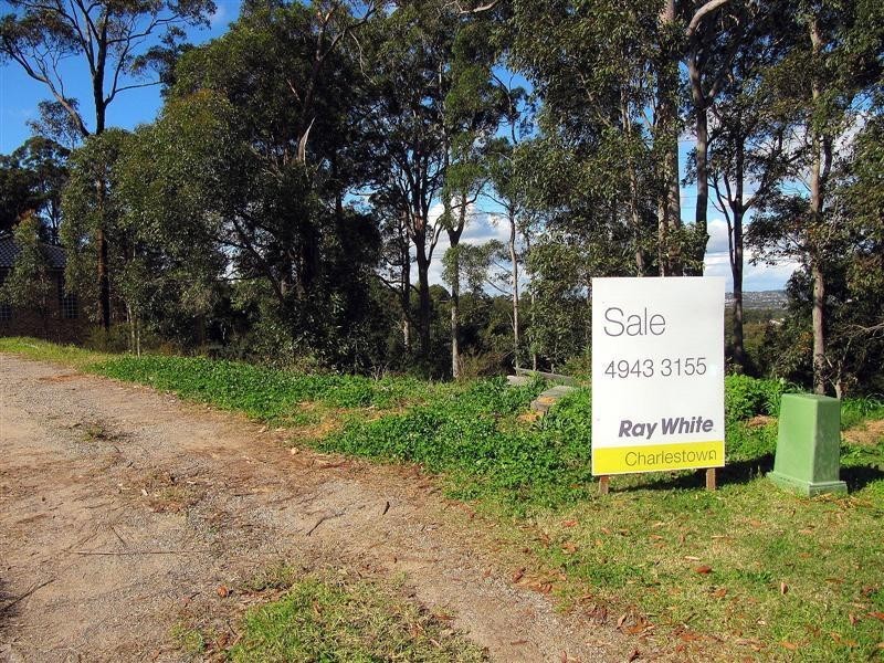 3 Hanover Road, Cameron Park NSW 2285