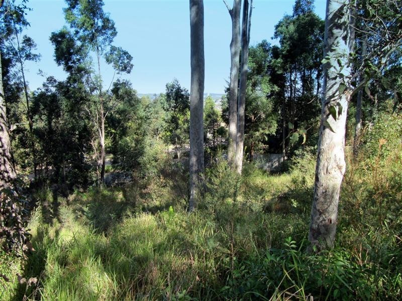 3 Hanover Road, Cameron Park NSW 2285