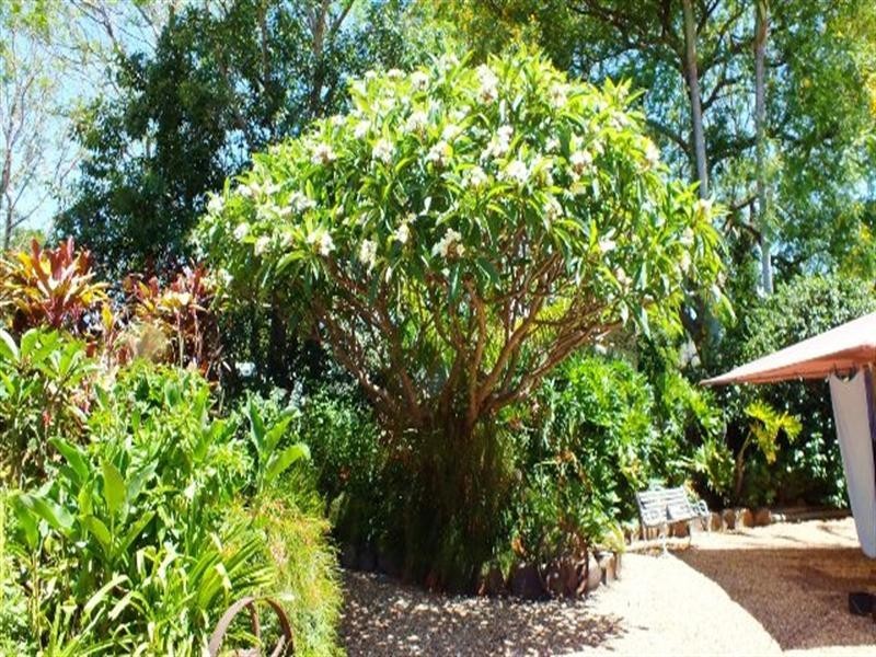 4 McNulty Street, Goondiwindi QLD 4390