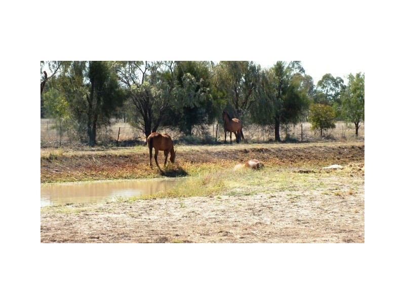 28 POLO Road, Goondiwindi QLD 4390