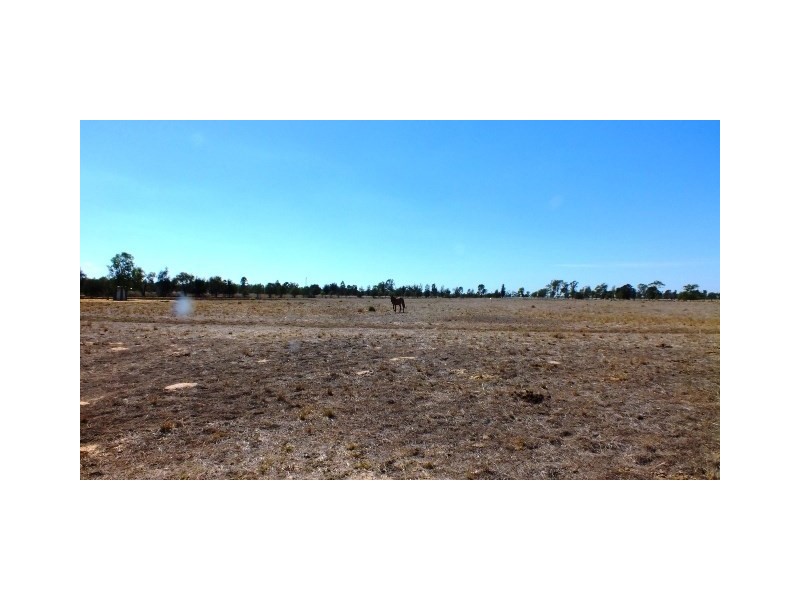 28 POLO Road, Goondiwindi QLD 4390