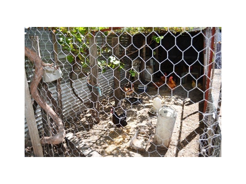 53-59 Macintyre Street, Yetman NSW 2410