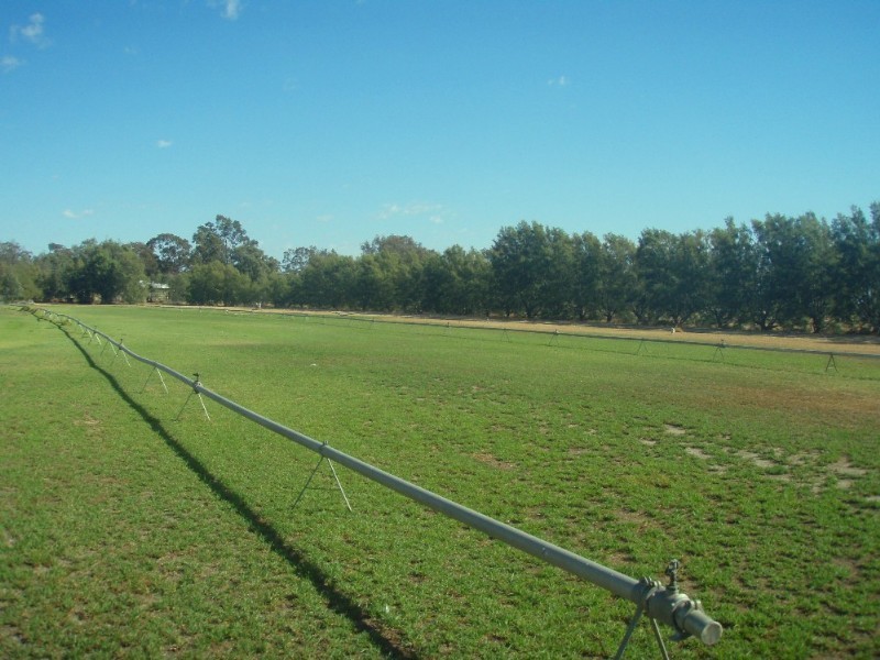 3 Racecourse Road, Goondiwindi QLD 4390