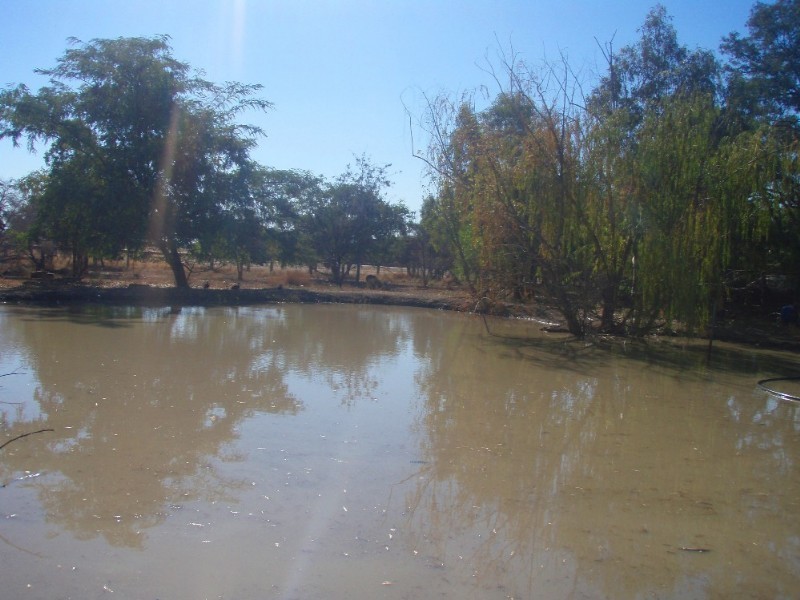 3 Racecourse Road, Goondiwindi QLD 4390