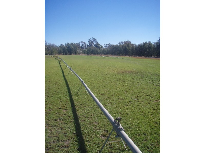 3 Racecourse Road, Goondiwindi QLD 4390