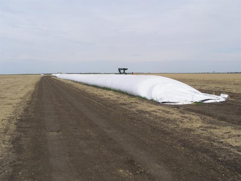 76 Dolgelly Bore Road, Goondiwindi QLD 4390