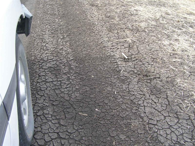 76 Dolgelly Bore Road, Goondiwindi QLD 4390