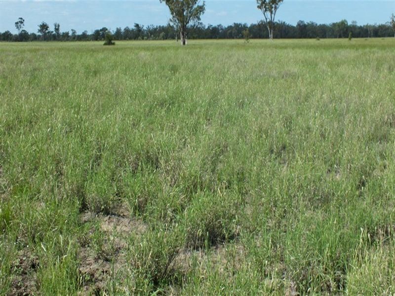 1 Minnel Road, Goondiwindi QLD 4390