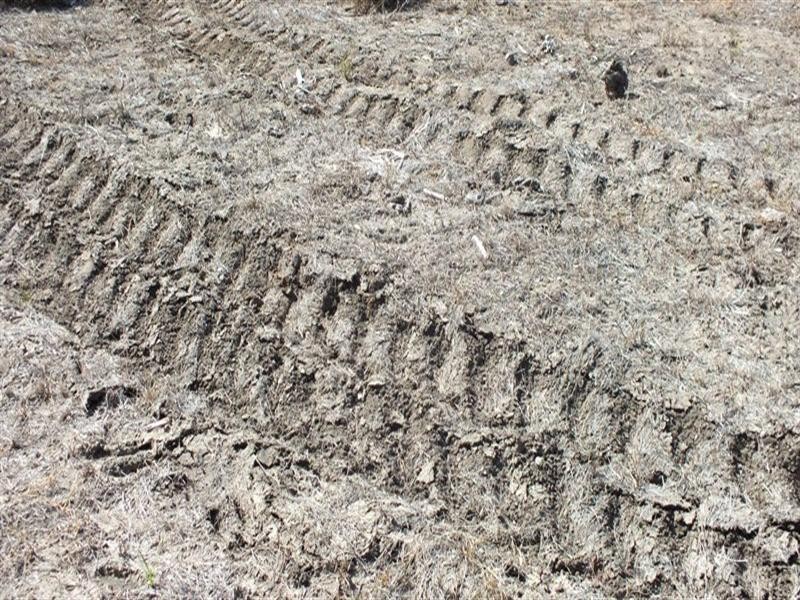 1 Minnel Road, Goondiwindi QLD 4390