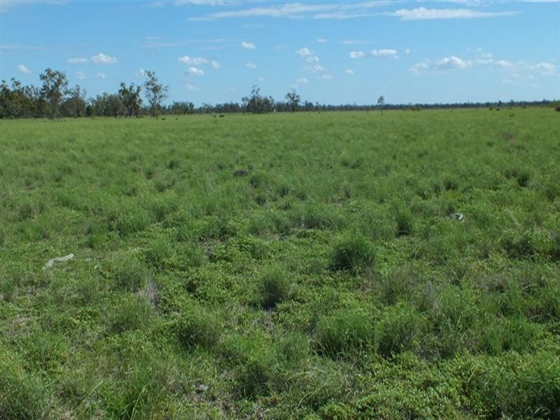 1 Minnel Road, Goondiwindi QLD 4390