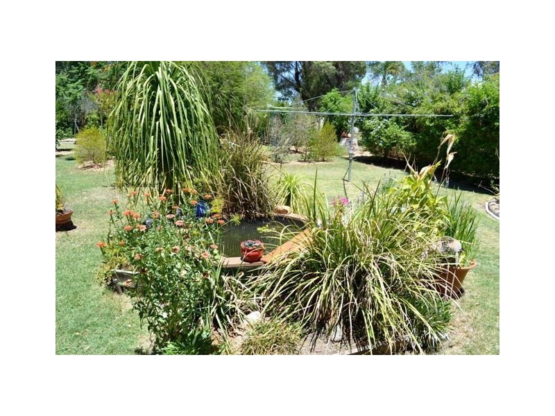 14 Kaboon Street, Yelarbon QLD 4388