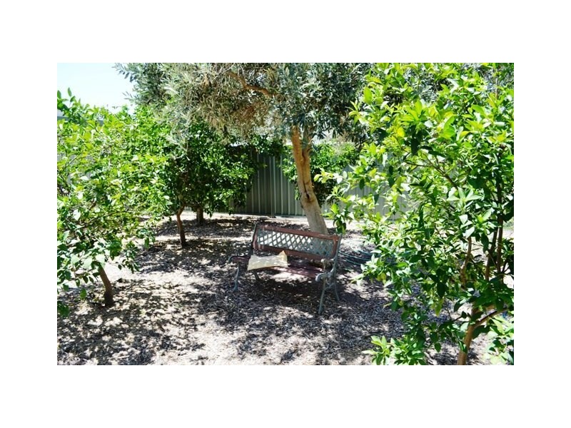 14 Kaboon Street, Yelarbon QLD 4388