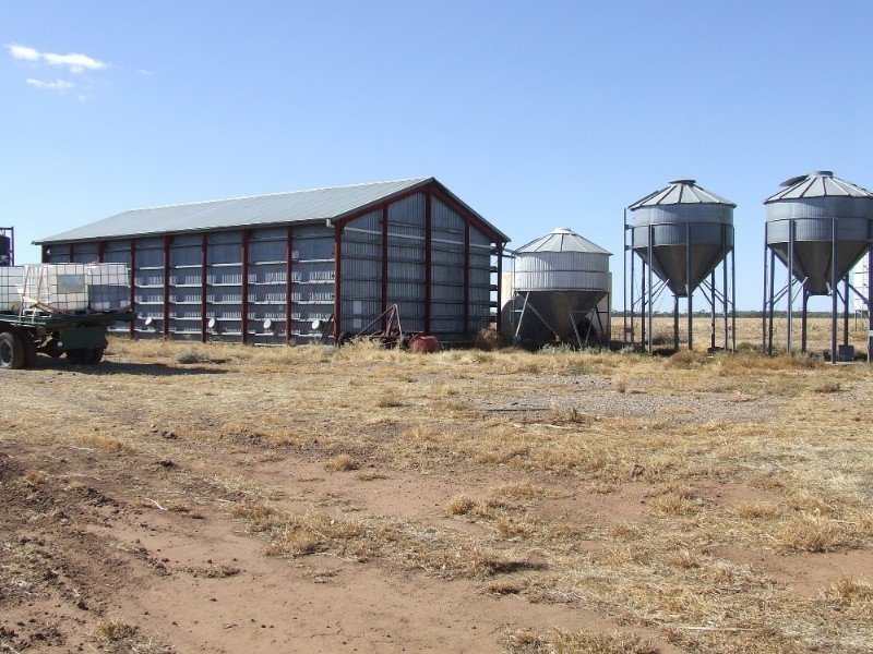 Goondiwindi QLD 4390