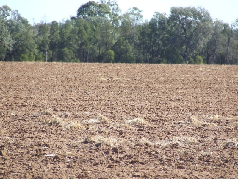 Goondiwindi QLD 4390