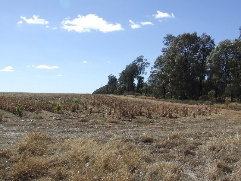 Goondiwindi QLD 4390