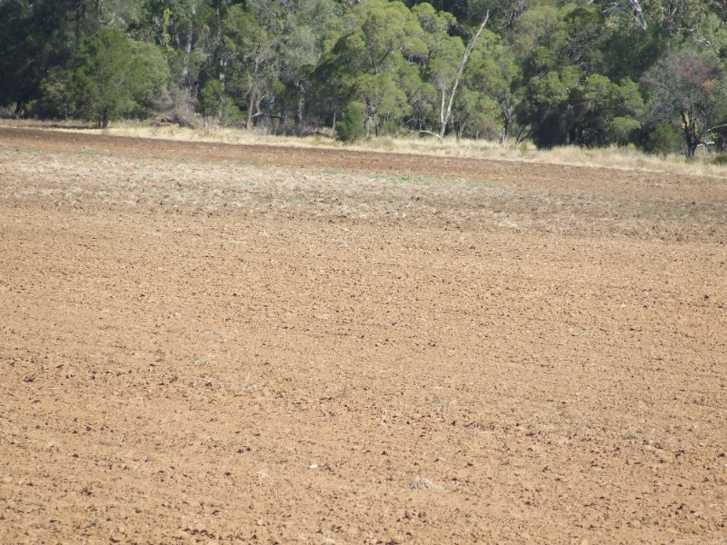 Goondiwindi QLD 4390