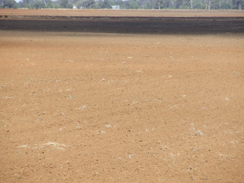 Goondiwindi QLD 4390