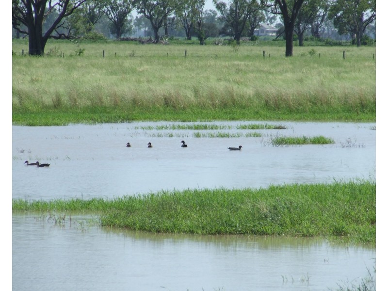 Goondiwindi QLD 4390