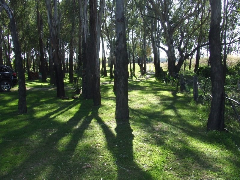 3449 Texas- Yelarbon Road, Texas QLD 4385