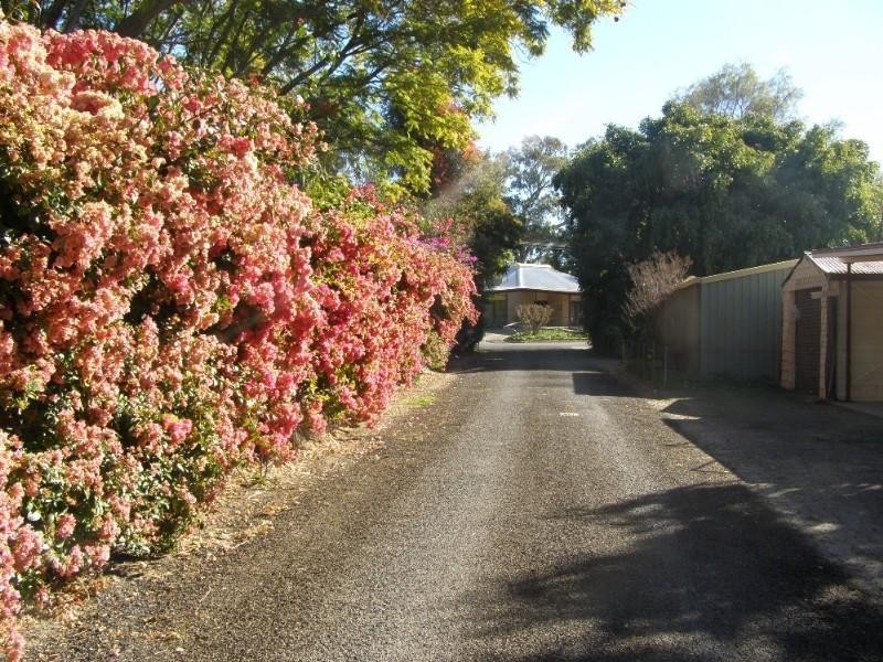 8 Marshall Street, Goondiwindi QLD 4390