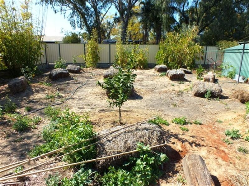 Goondiwindi QLD 4390