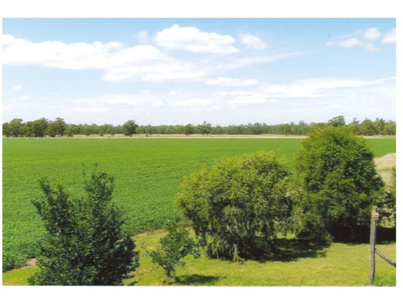 1086 Tobacco Road, Inglewood QLD 4387