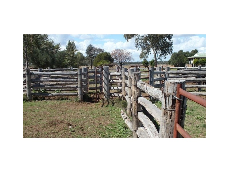 1086 Tobacco Road, Inglewood QLD 4387