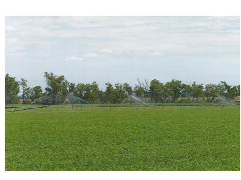 1086 Tobacco Road, Inglewood QLD 4387