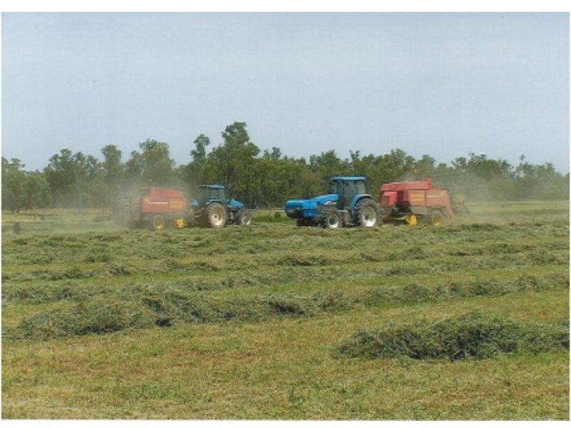 1086 Tobacco Road, Inglewood QLD 4387