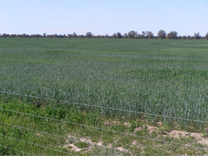 Goondiwindi QLD 4390