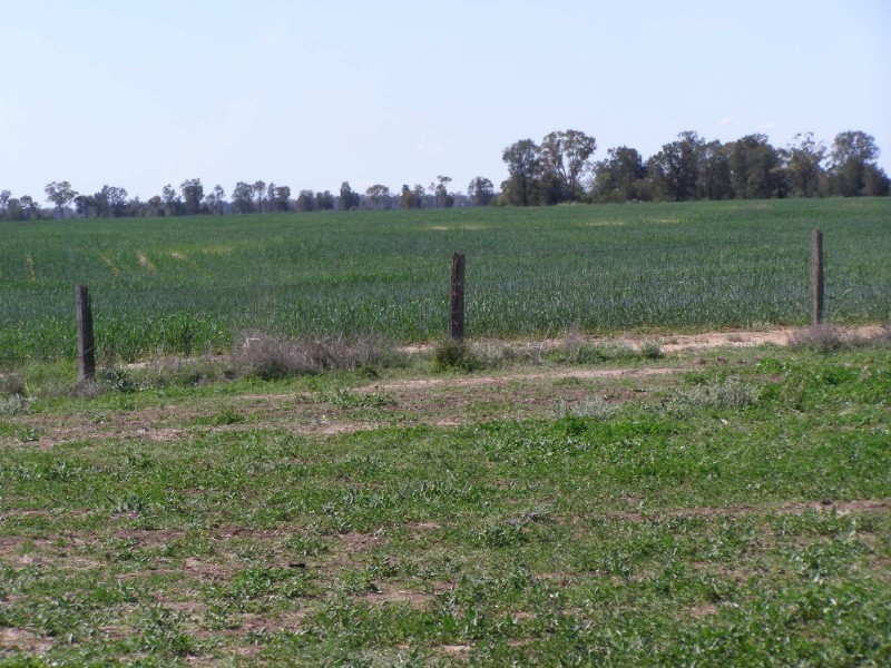 Goondiwindi QLD 4390