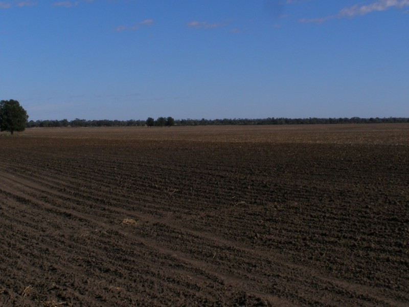 Goondiwindi QLD 4390
