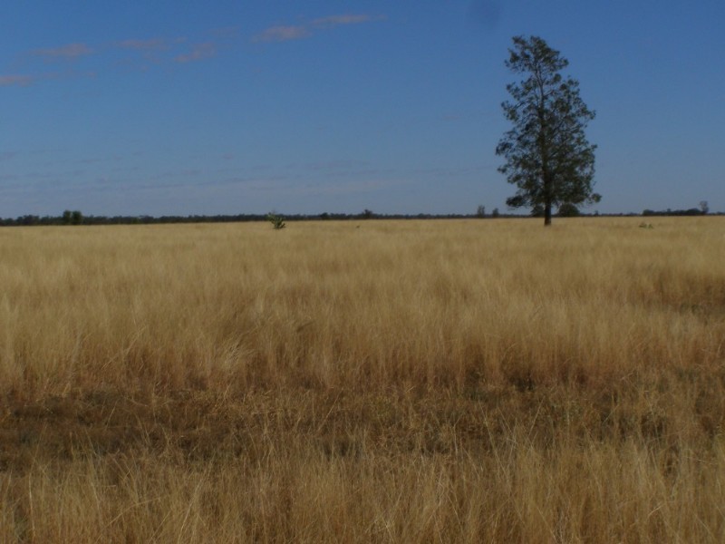Goondiwindi QLD 4390