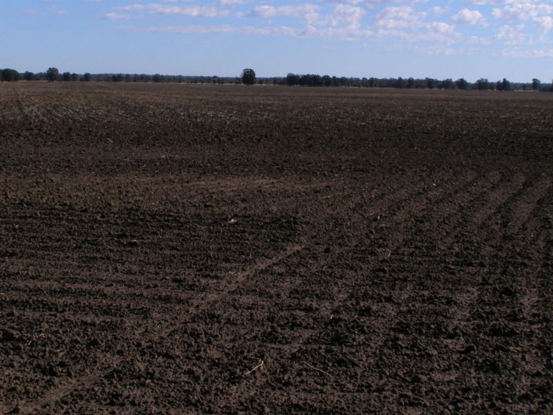 Goondiwindi QLD 4390