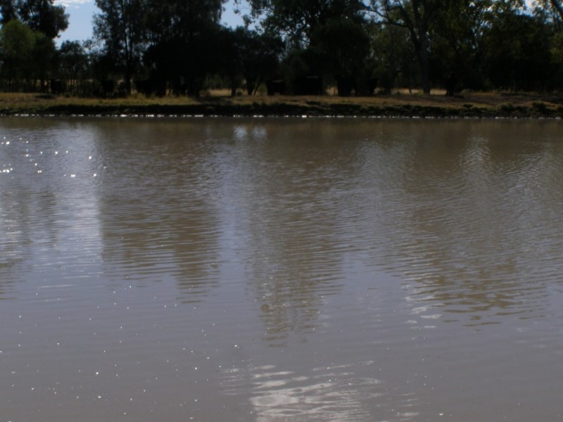 Goondiwindi QLD 4390