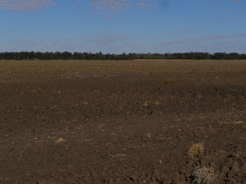 Goondiwindi QLD 4390