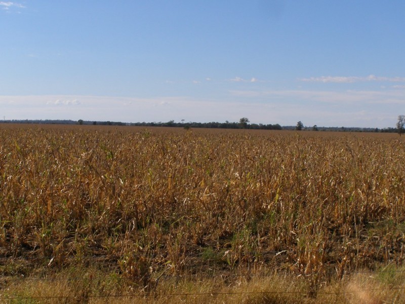 Goondiwindi QLD 4390